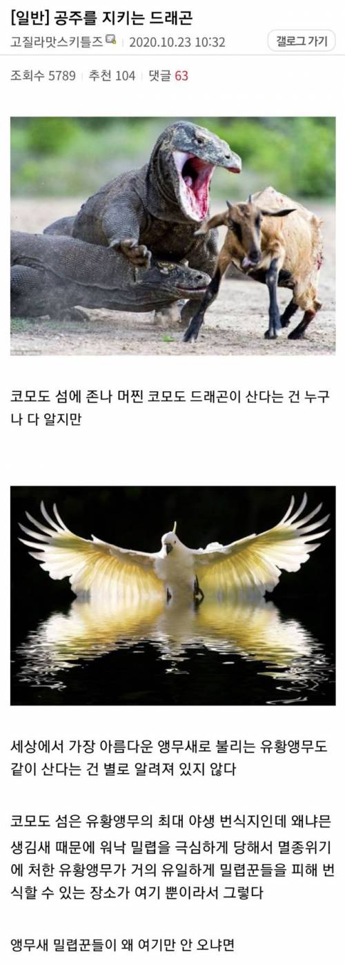 현실에 있는 공주를 지키는 드래곤.jpg