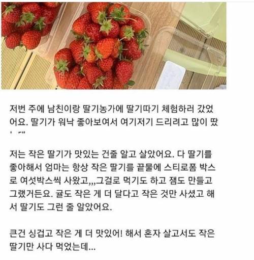 작은 딸기가 맛있는 거라고 생각한 딸.jpg