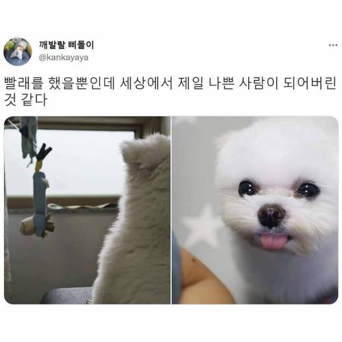 빨래 했을뿐인데...jpg