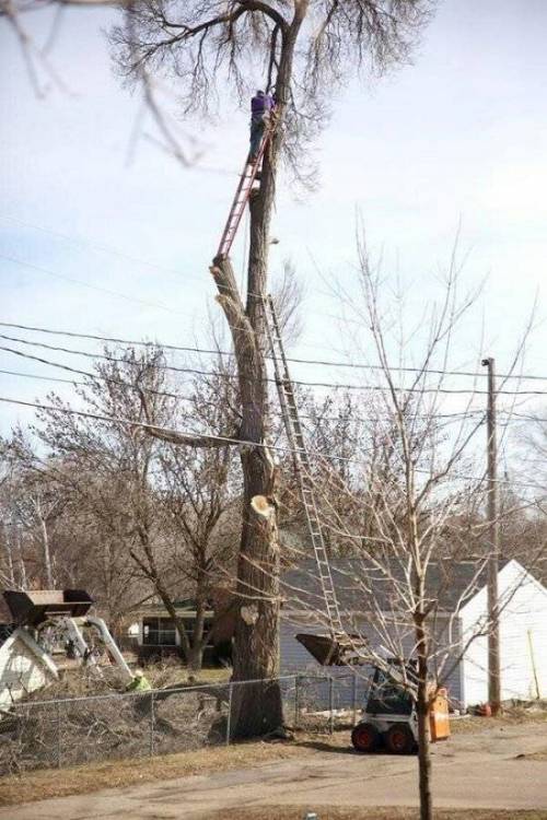 [스압] 흔한 사다리 사용법.jpg