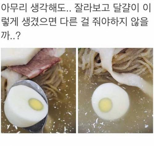 냉면 계란이 이상함.jpg