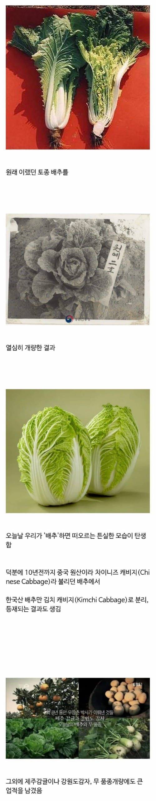 많은 사람들이 모르는 우장춘 박사의 업적