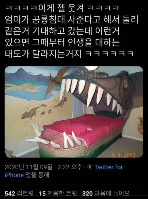 [스압] 세상은 넓고 기묘한 침대는 많다.jpg