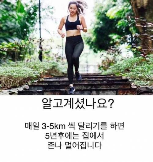 매일 3~5km 달리기를 하면 안되는 이유