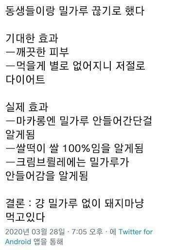 밀가루를 끊고 알게된 사실