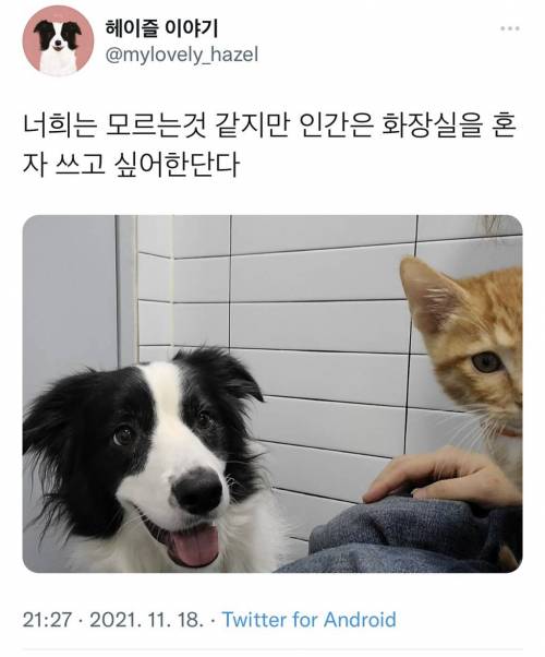 너희는 모르는 것 같지만 인간은 화장실을 혼자 쓰고 싶어한단다