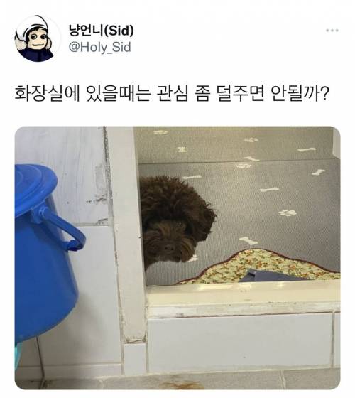 너희는 모르는 것 같지만 인간은 화장실을 혼자 쓰고 싶어한단다