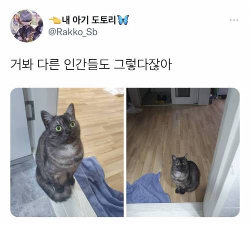 너희는 모르는 것 같지만 인간은 화장실을 혼자 쓰고 싶어한단다