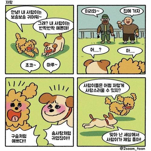 강아지들의 주인자랑.jpg