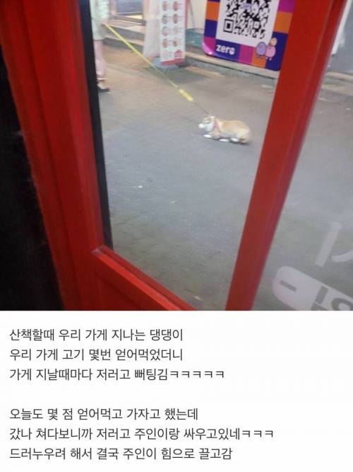 고집이 센 외식고기.jpg