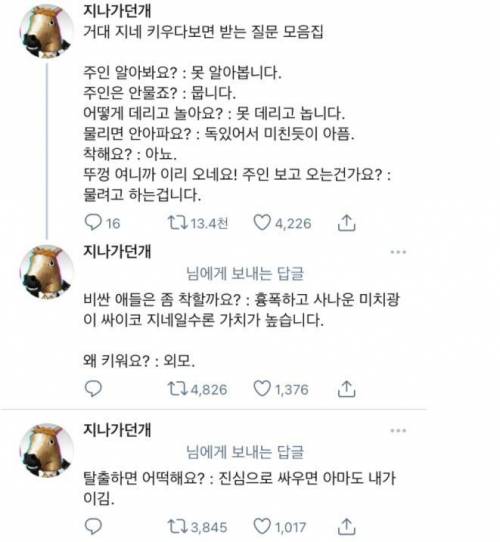 거대 지네 키우다보면 받는 질문 모음집