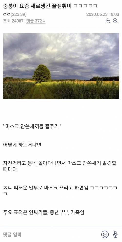 디시인의 요즘 취미.jpg