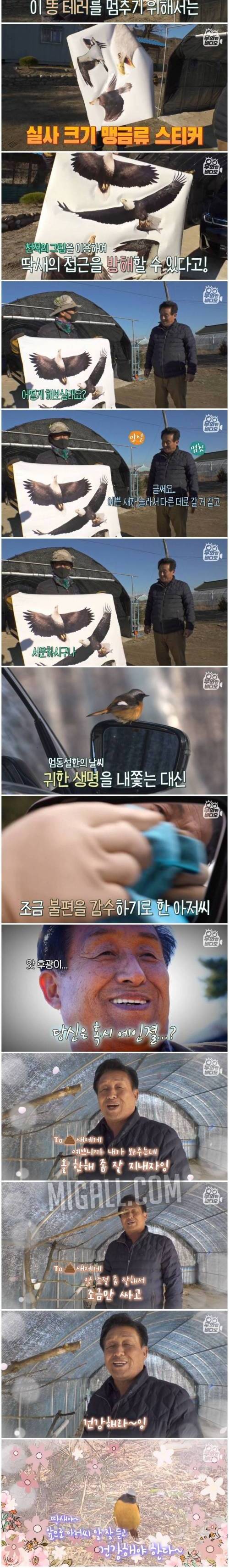 [스압] 매일매일 BMW에만 응가하는 의문의 새.jpg