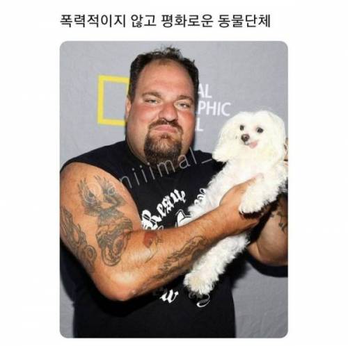 과격하지 않고 평화롭다는 동물단체.jpg