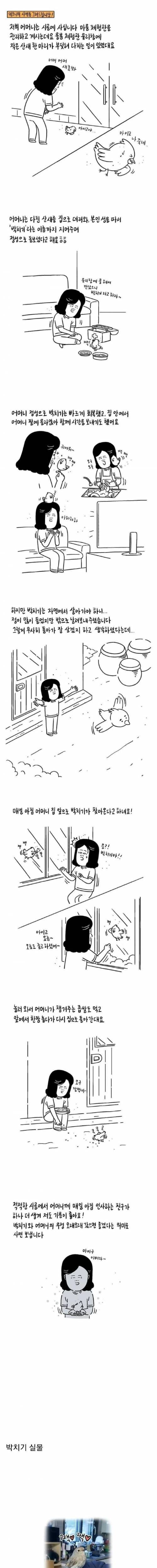 땅바닥에 쓰러져 있는 새를 발견한 어머니