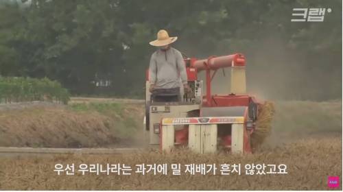 [스압] 우리나라 역사상 가장 사치스러운 고급 과자