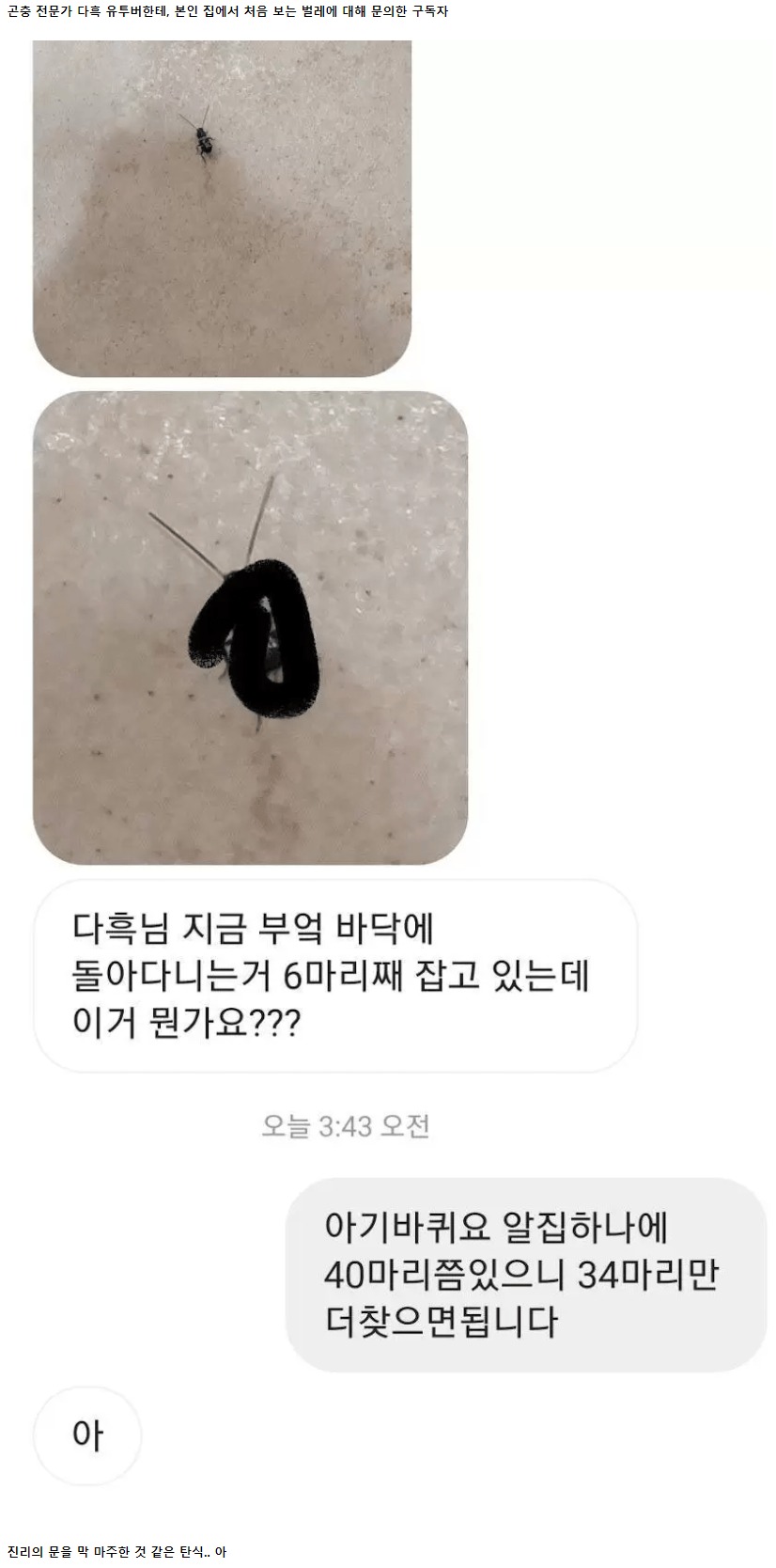 약혐?) ???: 처음보는 벌레를 잡았는데요..