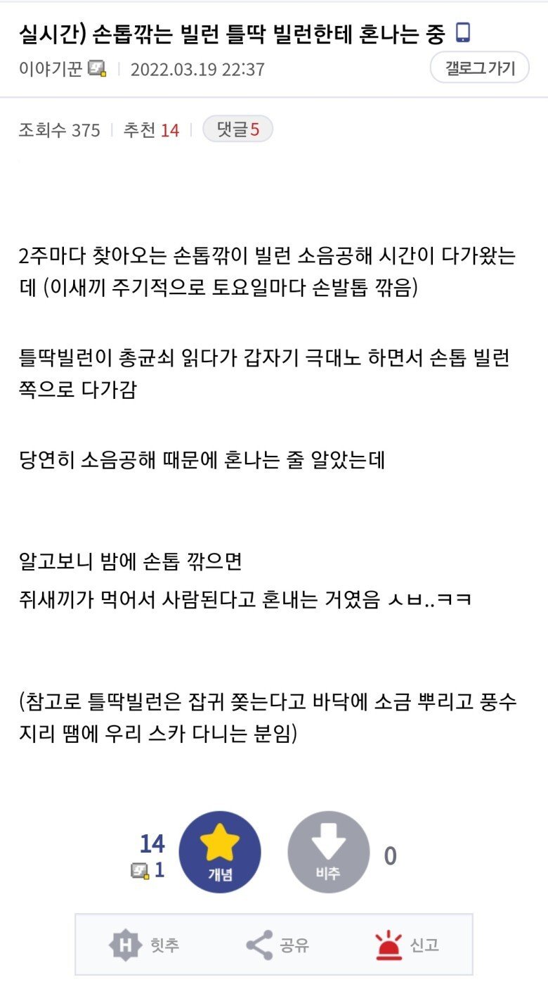 스터디 카페에서 손톱 깎다가 혼난 사람