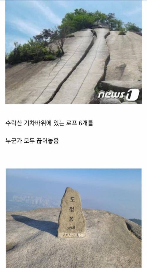 현재 난리난 수도권 산도둑