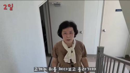 엄마의 31일간 계단오르기