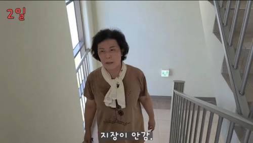 엄마의 31일간 계단오르기