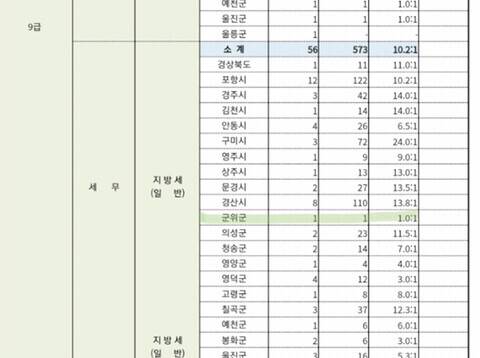 평생 쓸 운을 다 쓴 어느 공시생 지원자