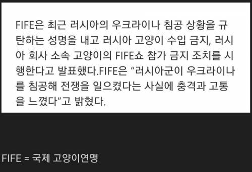 국제대회 러시아 퇴출종목 추가.jpg