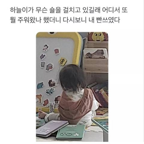 내 딸이 무슨 숄을 걸치고 있길래