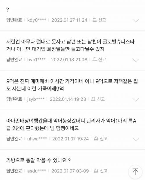 네이버에 에르메스 가방 쳤는데