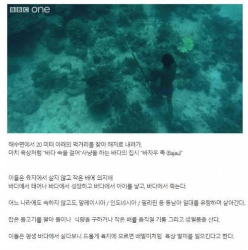 현실판 아쿠아맨 바자우족 70m 바다 아래에서 10분 넘게 잠수