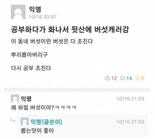 남다른 취미가 있는 사람