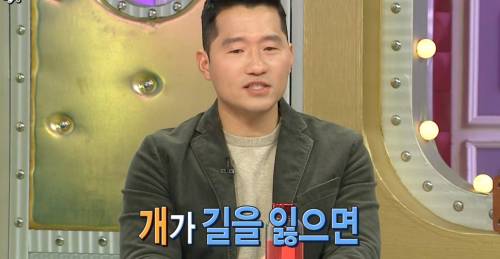 잃어버린개 높은확률로 3일내로 찾는방법