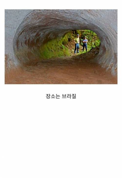 13,000년 전 만들어진 동굴의 정체