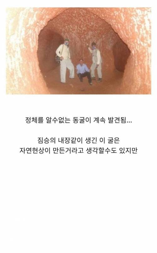 13,000년 전 만들어진 동굴의 정체