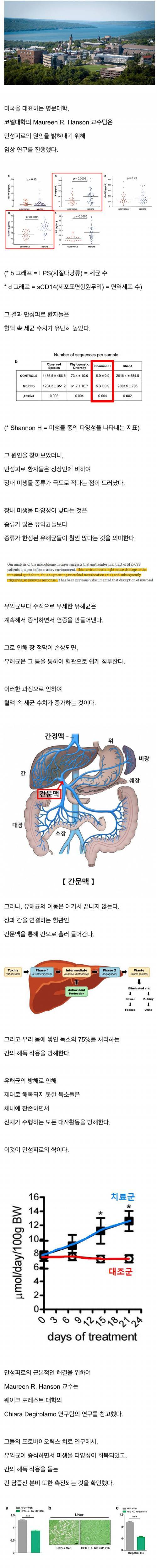 만성피로의 원인.jpg