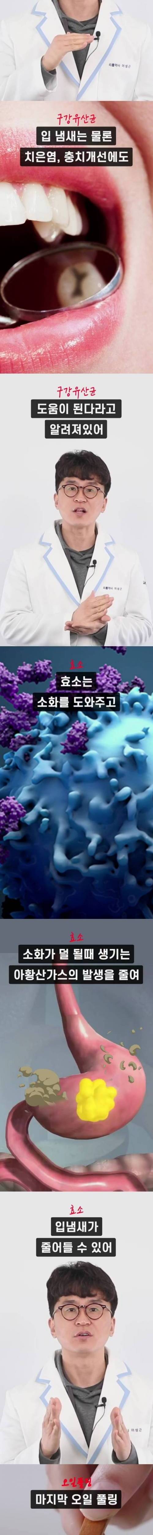 입냄새를 아주 쉽게 잡는 법.jpg