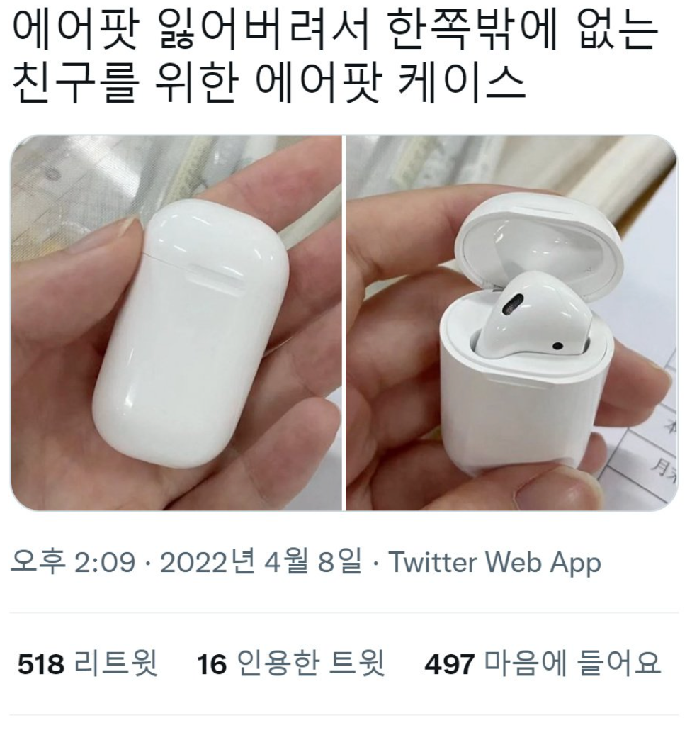 에어팟 잃어버린 친구를 위한 케이스