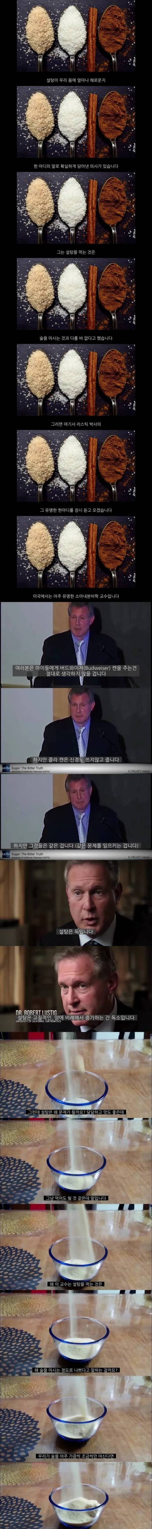 설탕은 술만큼 몸에 해롭다.jpg