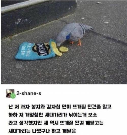 멍청한 새대가리.jpg