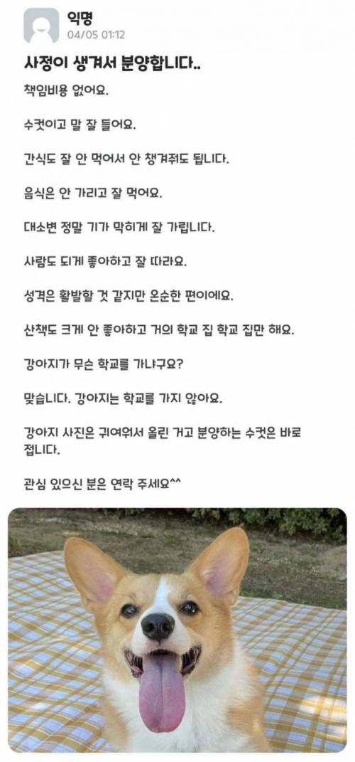 사정이 생겨서 분양 합니다