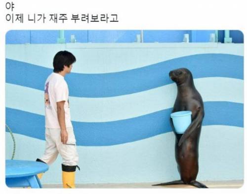 야 이제 니가 재주 부려보라고