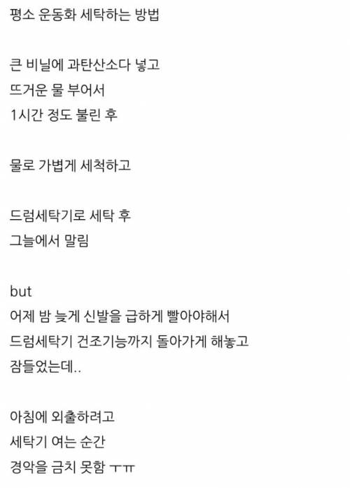 드럼세탁기 건조 코스까지 돌린 자의 최후