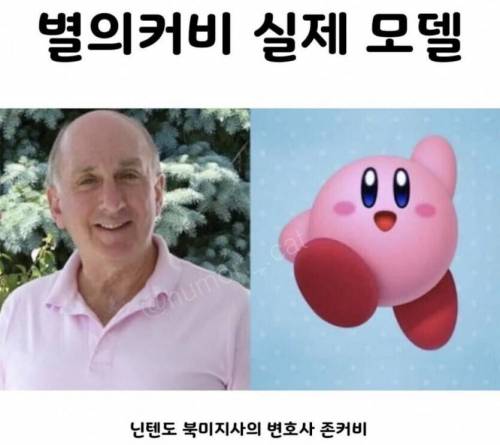 별의 커비 실제 모델 .jpg