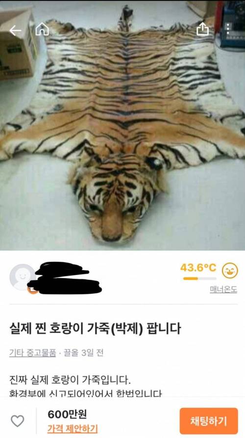 당근마켓 근황.jpg