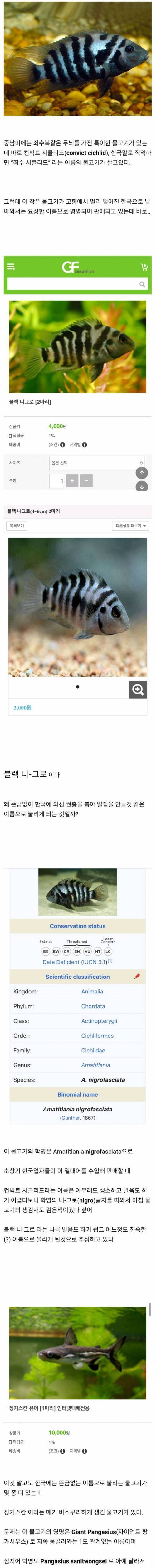 한국 한정으로 부르는 물고기 이름