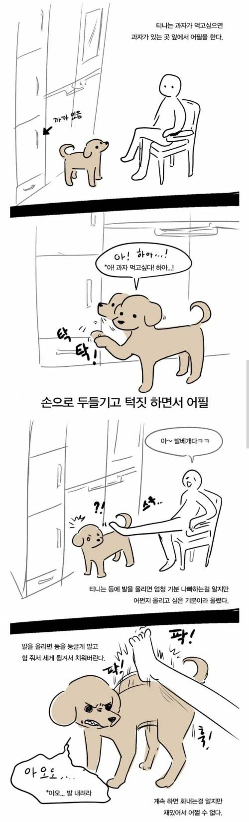 푸들의 높은 지능을 보여주는 만화