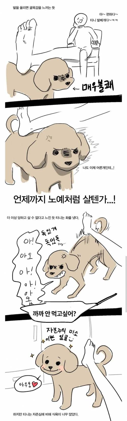 푸들의 높은 지능을 보여주는 만화