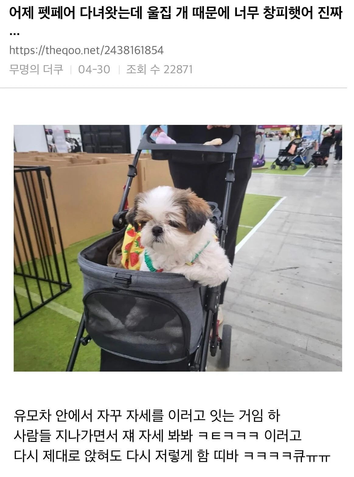 펫페어 다녀왓는데 울집 개 때문에 너무 창피햇어 진짜 ...