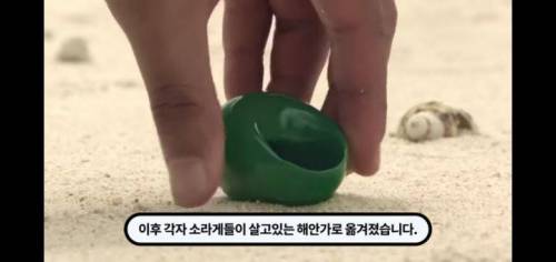 역대급 신박한 부동산회사 마케팅