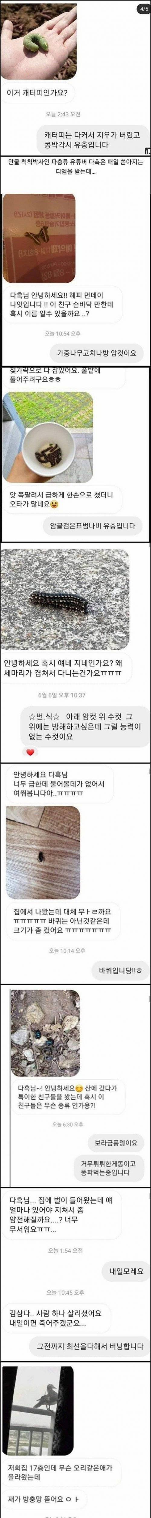 [약혐]생물 유튜버가 받는 DM